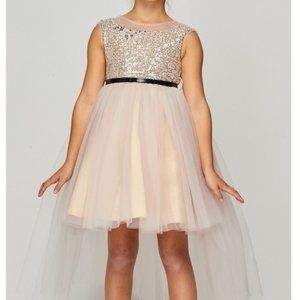 Champagne glitter dress